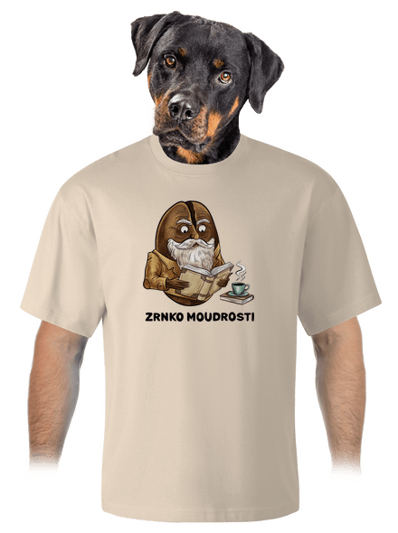 Zrnko moudrosti unisex tričko oversized Almond