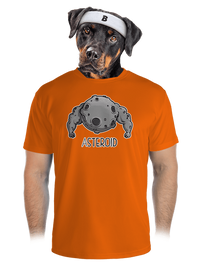 pánské sportovní tričko