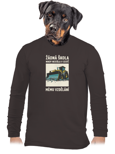 Žádná škola pánské dlouhý rukáv Bear Brown