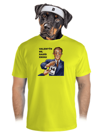 pánské sportovní tričko