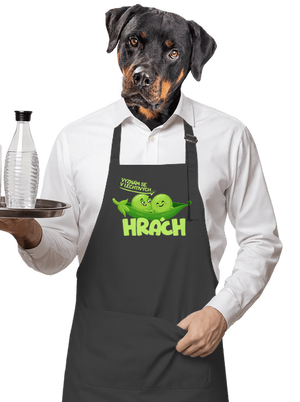 zástěra