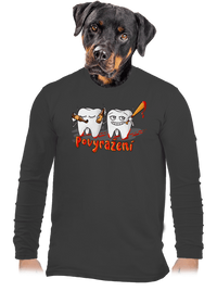 pánské dlouhý rukáv