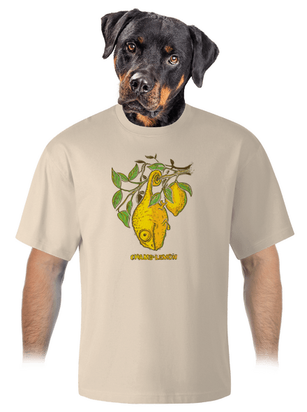 Citrón unisex tričko oversized Almond
