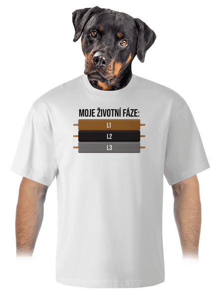 Moje životní fáze unisex tričko oversized White