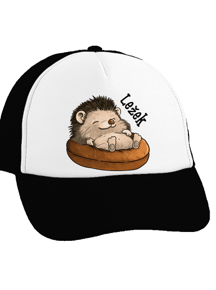 Ležek kšiltovka truckerka Black cap