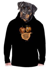 pánská mikina klokanka