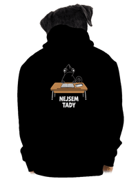 pánská mikina na zip