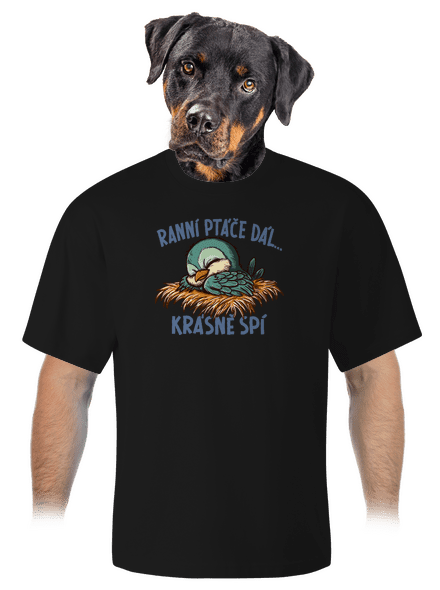 Ranní ptáče spí unisex tričko oversized Black
