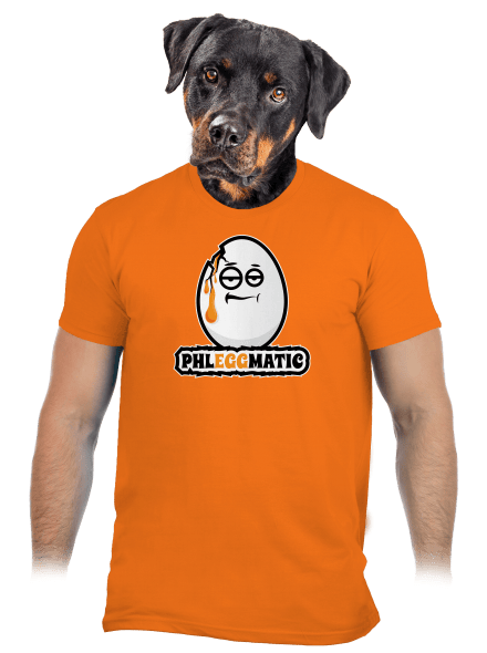 Phleggmatic pánské tričko Orange