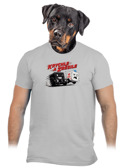 Krychle a zběsile 2.0 pánské tričko Pacific Grey