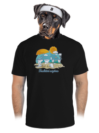 pánské sportovní tričko