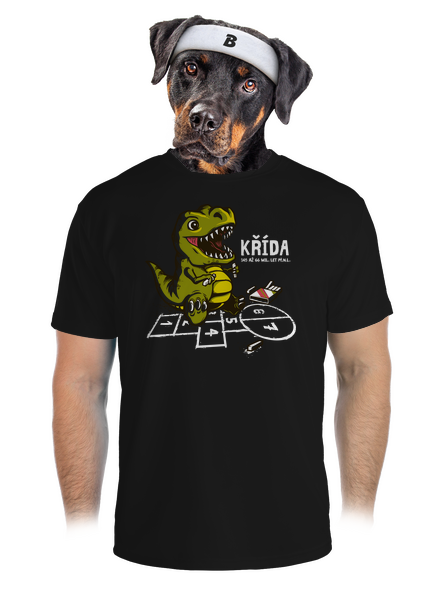 Křída pánské sportovní tričko Black