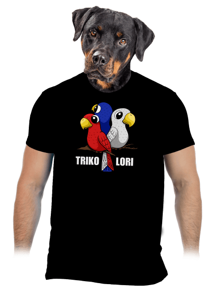 Trikolori pánské tričko Black