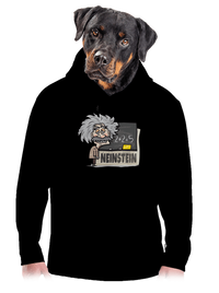 pánská mikina klokanka