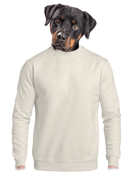 Bez potisku unisex mikina bez kapuce Off White