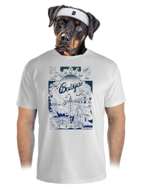 pánské sportovní tričko