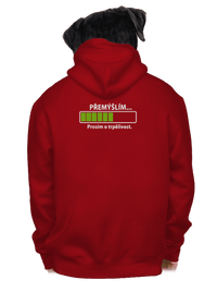 pánská mikina na zip