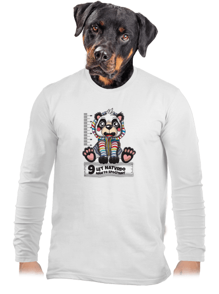 Školní docházka pánské dlouhý rukáv White