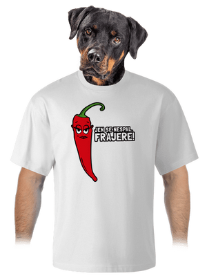 Spalující touha unisex tričko oversized White