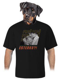 unisex tričko oversized