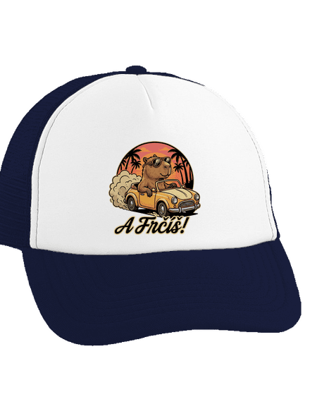 A frčíš kšiltovka truckerka French Navy cap