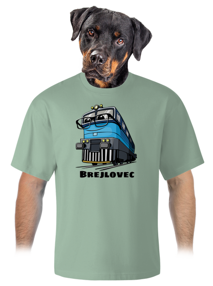 Brejlovec unisex tričko oversized Sage