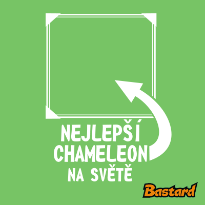 Nejlepší chameleon