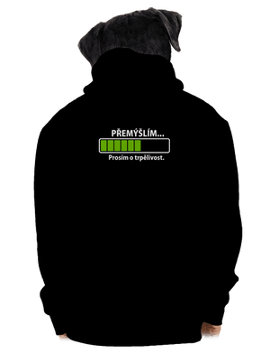 Přemýšlím pánská mikina na zip Black