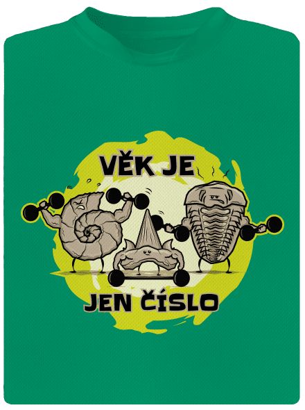 Věk je jen číslo dětské sportovní tričko Kelly Green Mal