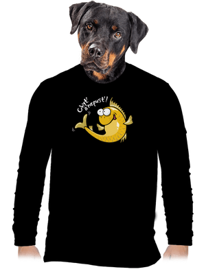 pánské dlouhý rukáv