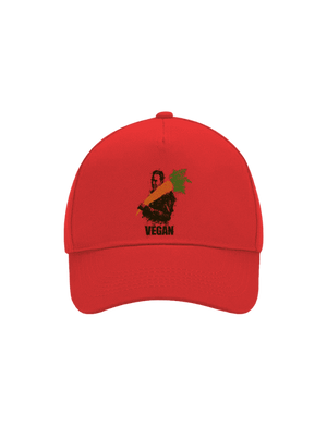 kšiltovka baseballka