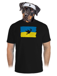 pánské sportovní tričko