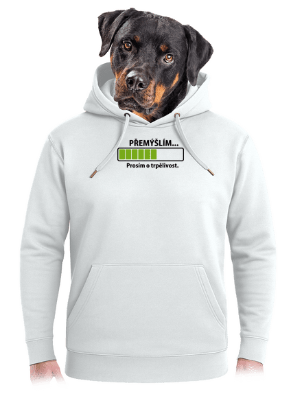 Přemýšlím unisex mikina premium Snowwhite