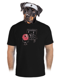 pánské sportovní tričko