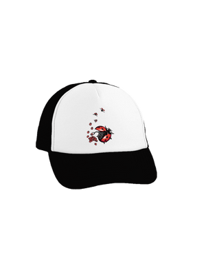 Ladybird Factory kšiltovka Black cap
