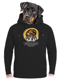 unisex mikina premium