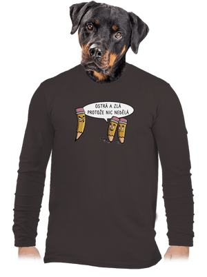 pánské dlouhý rukáv