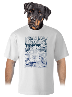 unisex tričko oversized