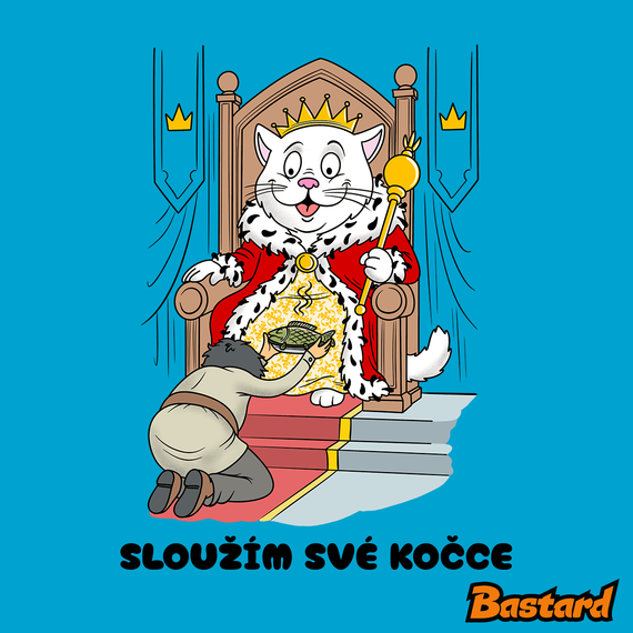 Sloužím své kočce