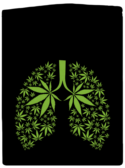 Ganja plíce pánská mikina na zip Black