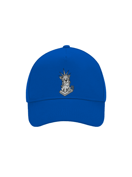 New Yorkshire kšiltovka baseballka Bright Royal