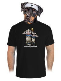 pánské sportovní tričko