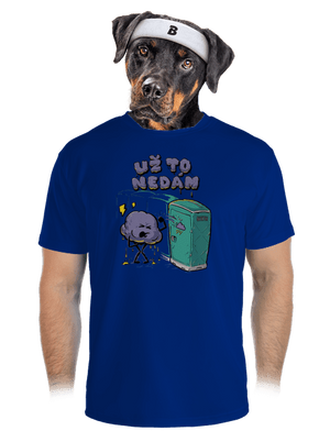 pánské sportovní tričko