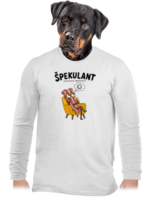 pánské dlouhý rukáv