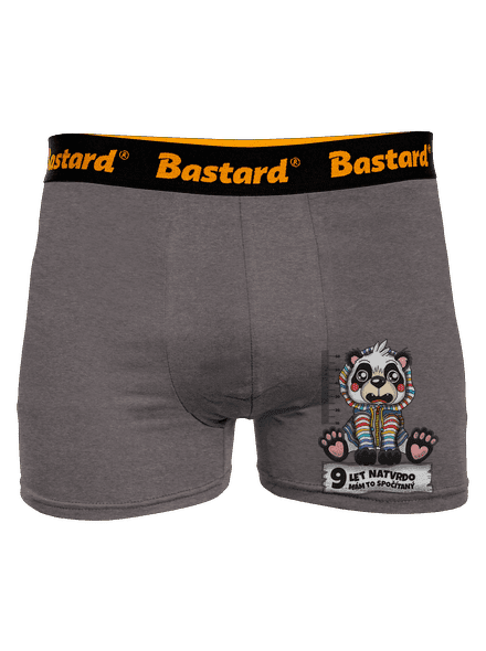 Školní docházka boxerky Gray Melange