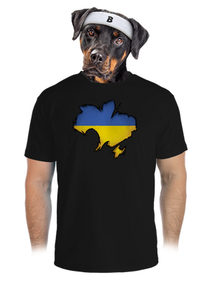 pánské sportovní tričko