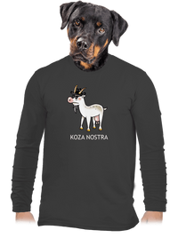 pánské dlouhý rukáv