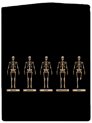 Kostry dámská mikina na zip Black