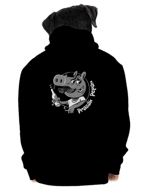 pánská mikina na zip