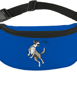 Létající talíř ledvinka Bright Royal